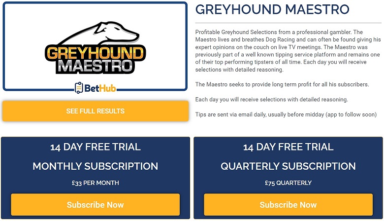 Greyhound Maestro best greyhound tipsters